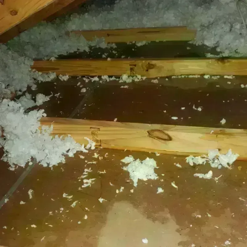 Attic Water Damage in Mount Vernon, TX