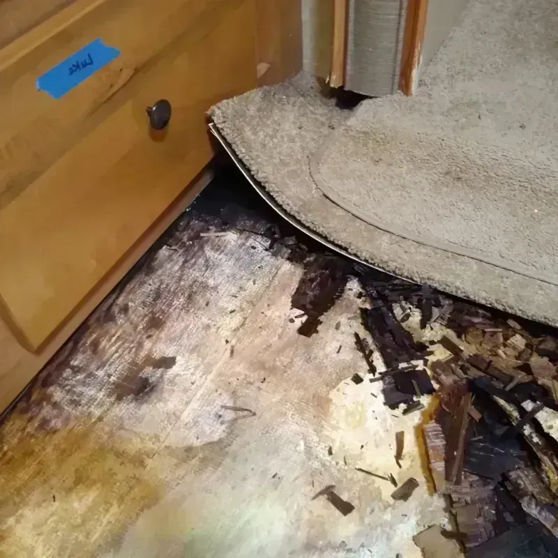 Wood Floor Water Damage in Mount Vernon, TX